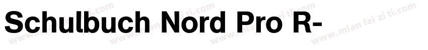 Schulbuch Nord Pro R字体转换